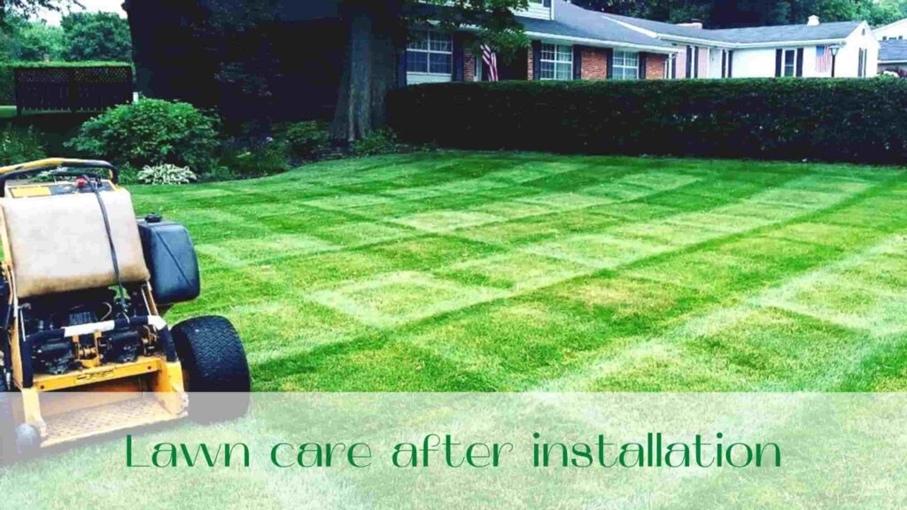image-Lawn-care-after-installation-of-sod
