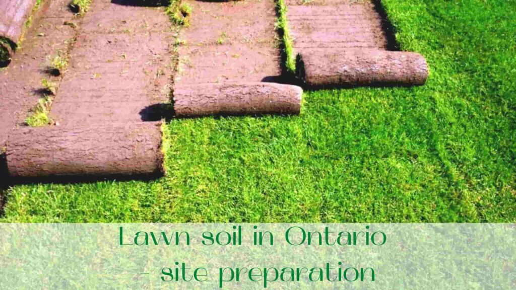 image-Lawn-soil-in-Ontario-site-preparation