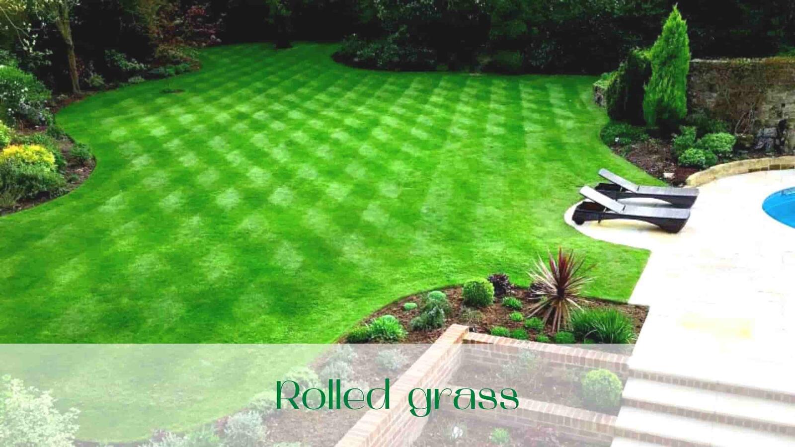 Rolled grass in Toronto and Ontario