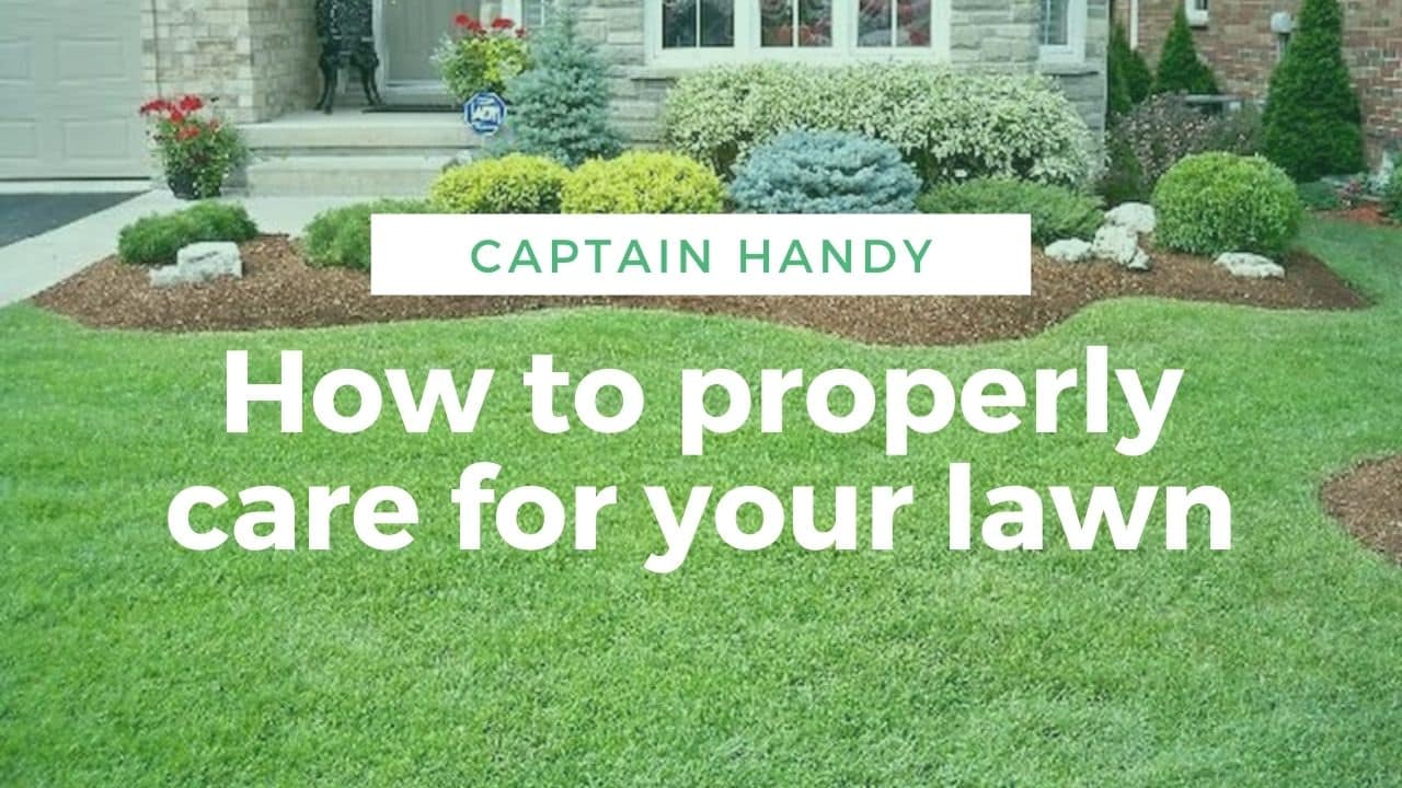 How to properly care for your lawn