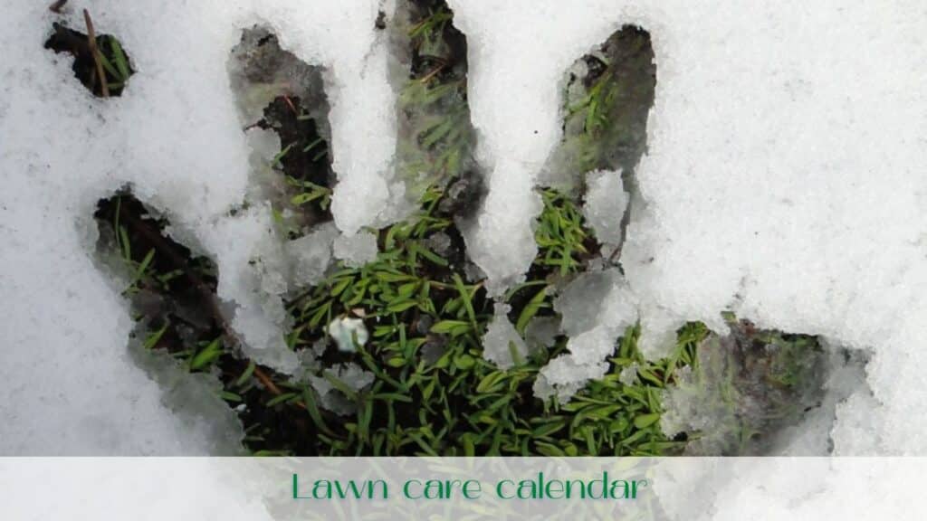 Image-lawn-care-calendar