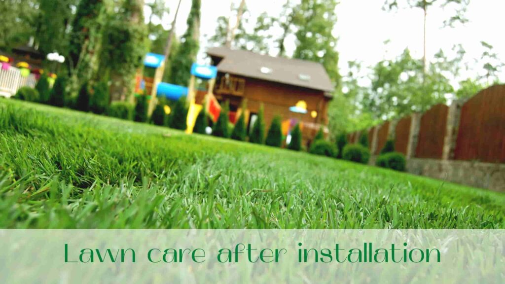 image-Lawn-care-after-sod-installation-in-Toronto