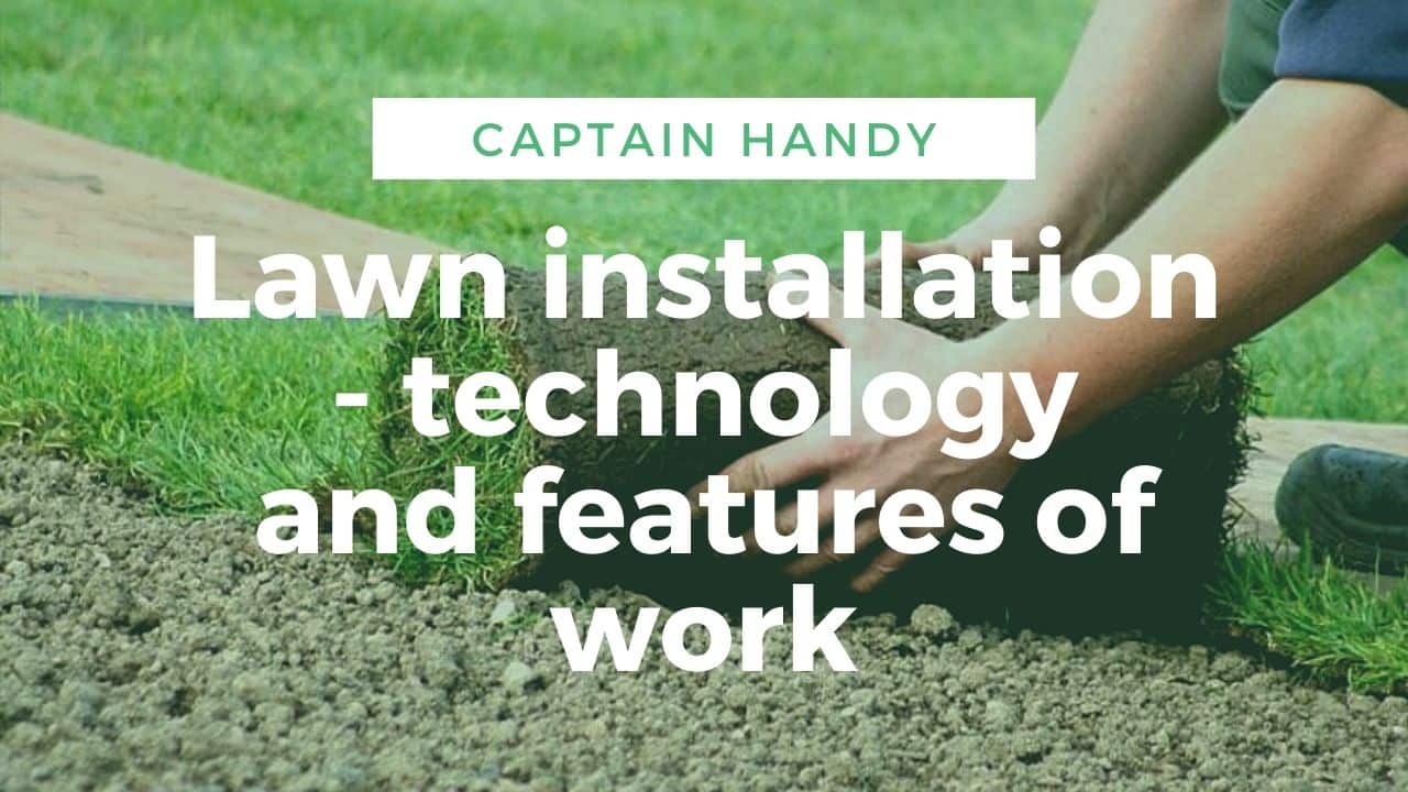 Lawn installation in North York – technology and features of work