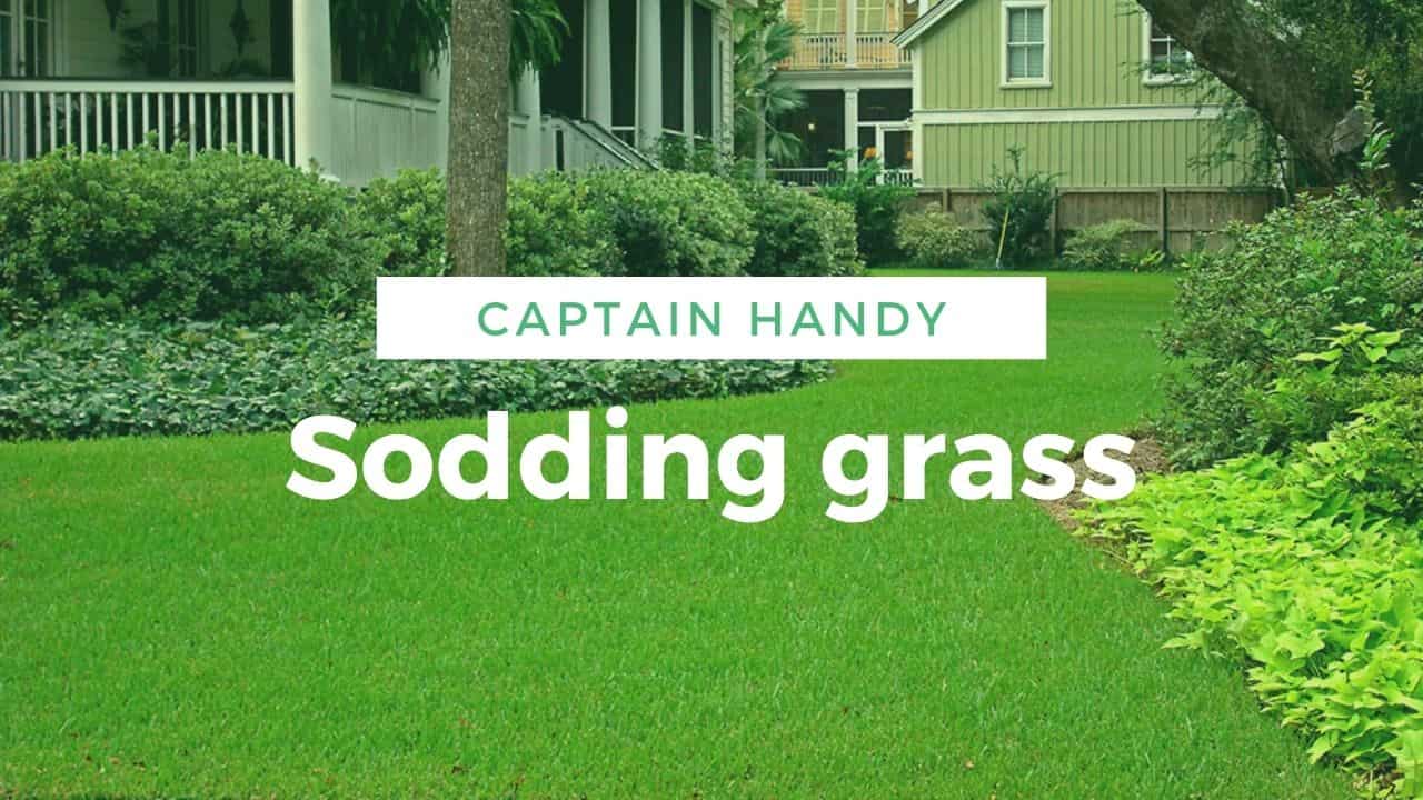 Sodding grass Toronto