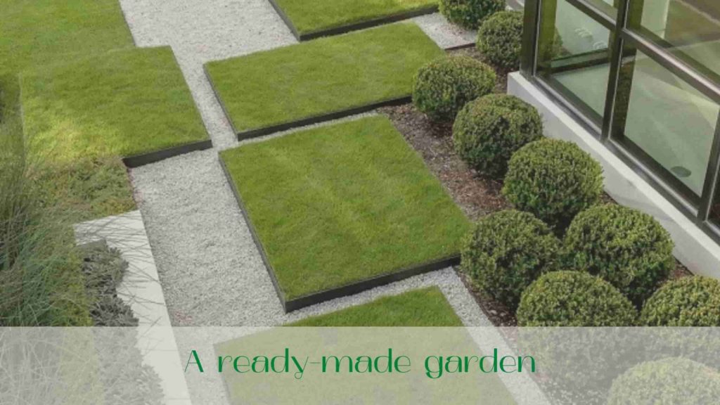 image-ready-made-garden-modern-garden-design-in-Toronto