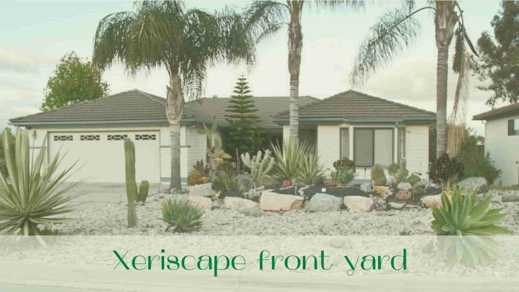 image-xeriscape-front-yard