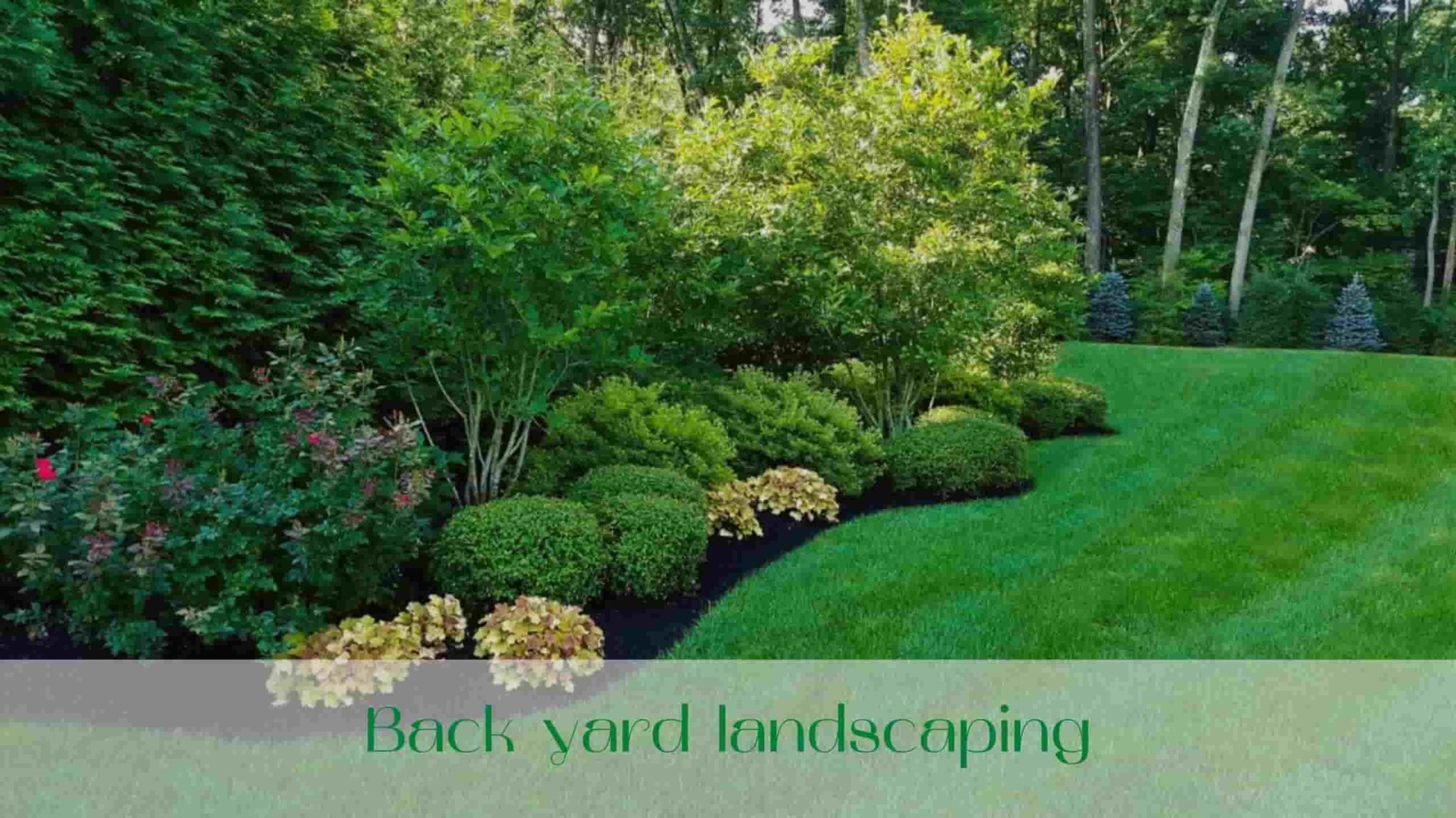 Full service landscaping in Toronto | Best company in 2021