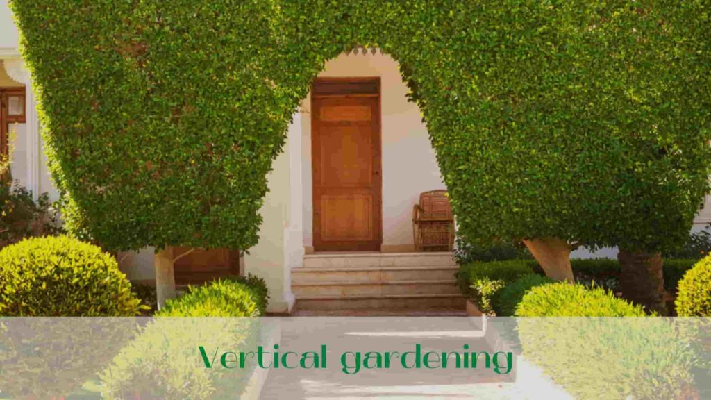 image-Vertical-gardening-in-landscape-design