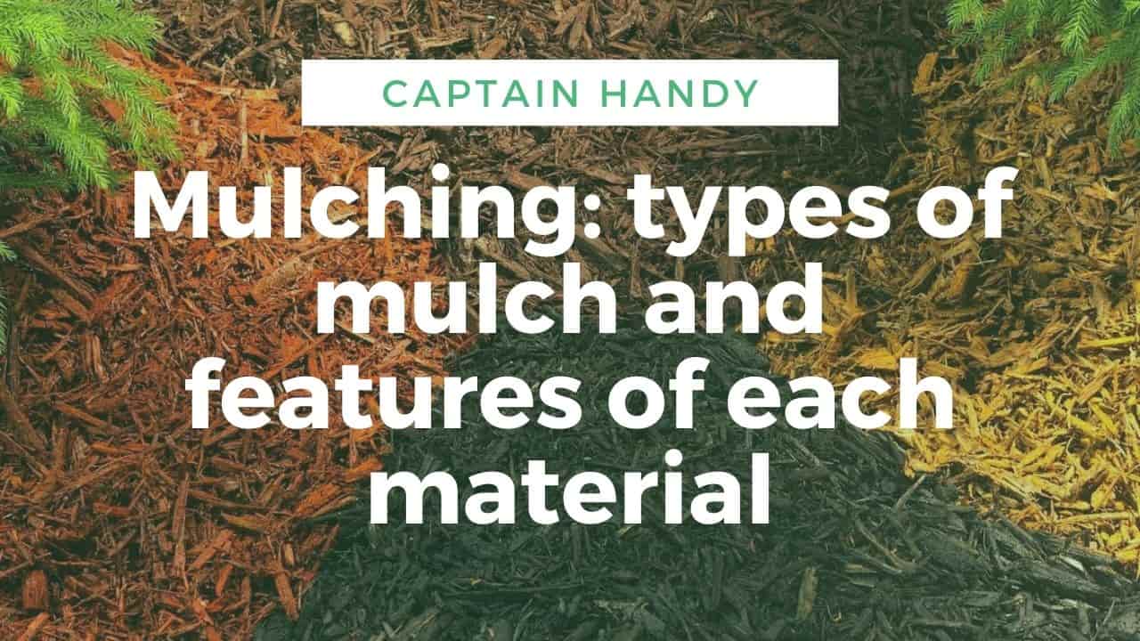 Mulching: types of mulch and features of each material