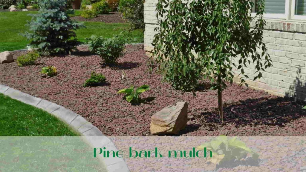 image-Pine-bark-mulch