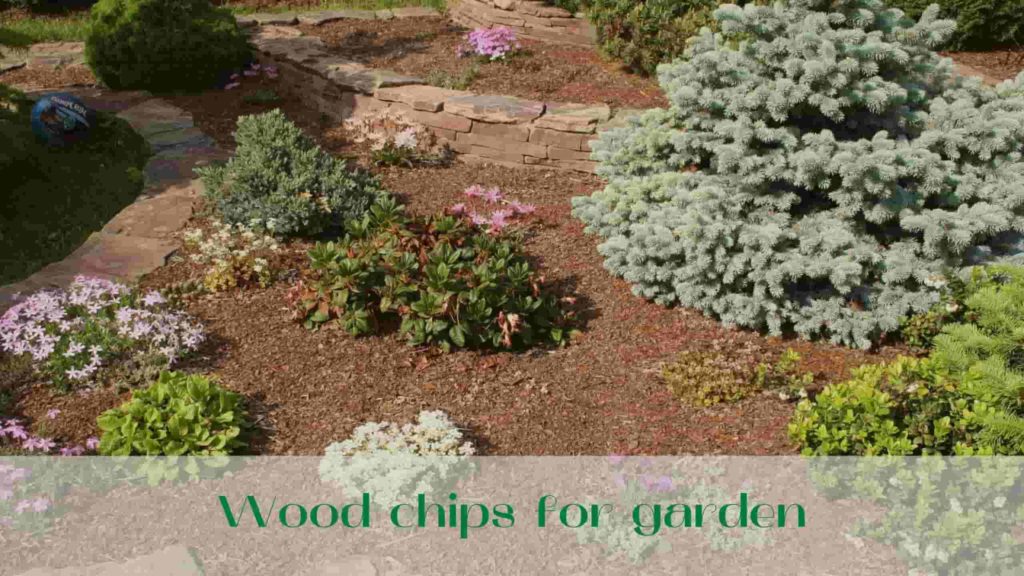 image-Wood-chips-for-garden