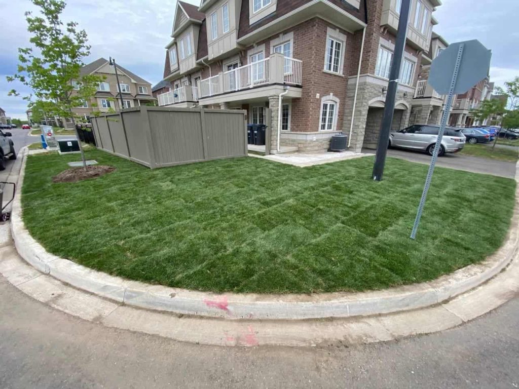 sod replacement near me