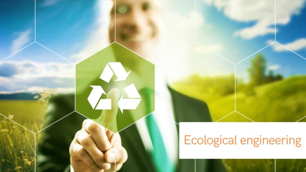 image-Ecological-engineering